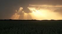 WOLKENGESCHÖPF – Mit ein bisschen Fantasie, sagt Elke Kriegck, erkenne man genau, dass sich die Sonne  durch Auge, Nase und Mund eines »Wolkengeschöpfs« zur wohlverdienter Ruhe hinter dem Horizont zurückzieht.