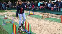 Tiershow auf der Seewiese Friedberg