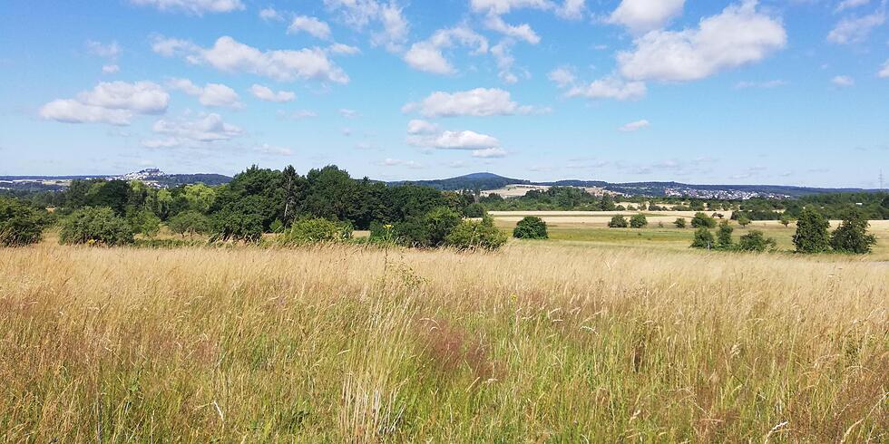 landkreisgießen_260725
