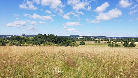 landkreisgießen_260725
