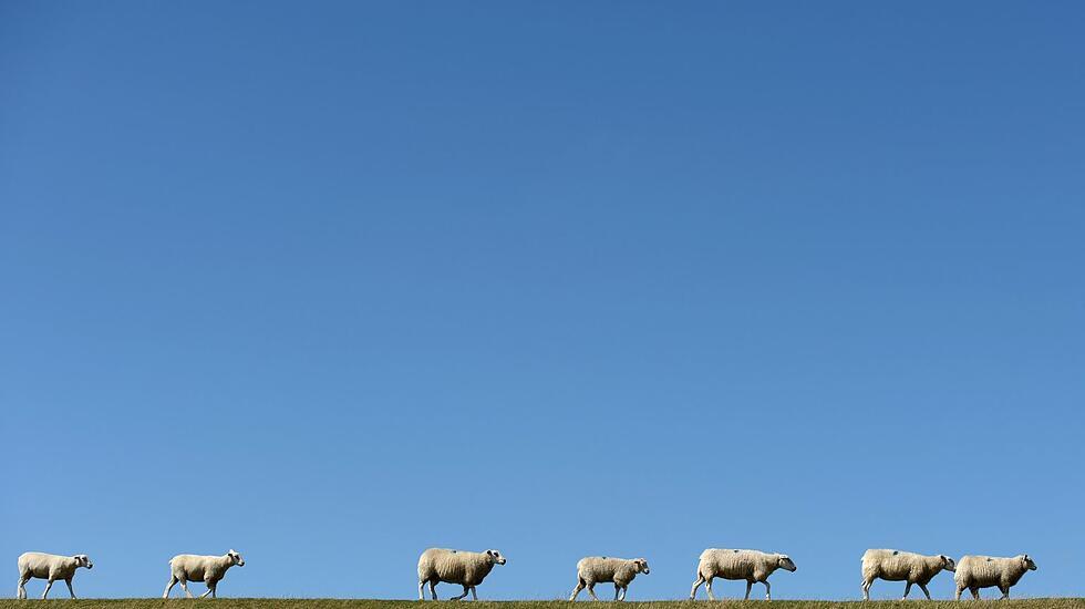 Nordfriesland-Karawane