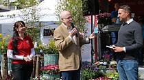 Frühlingsmarkt in Friedberg