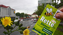 Oliver Schepps Foto der Woche