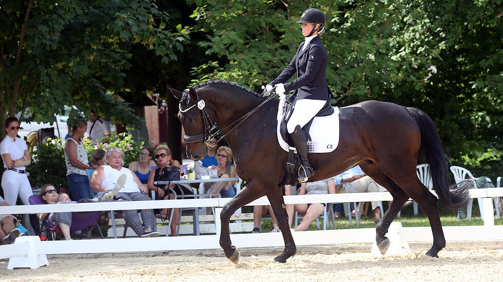 Dressur- und Springturnier auf der Reitsportanlage der Familie Loth in Friedberg – Fauerbach