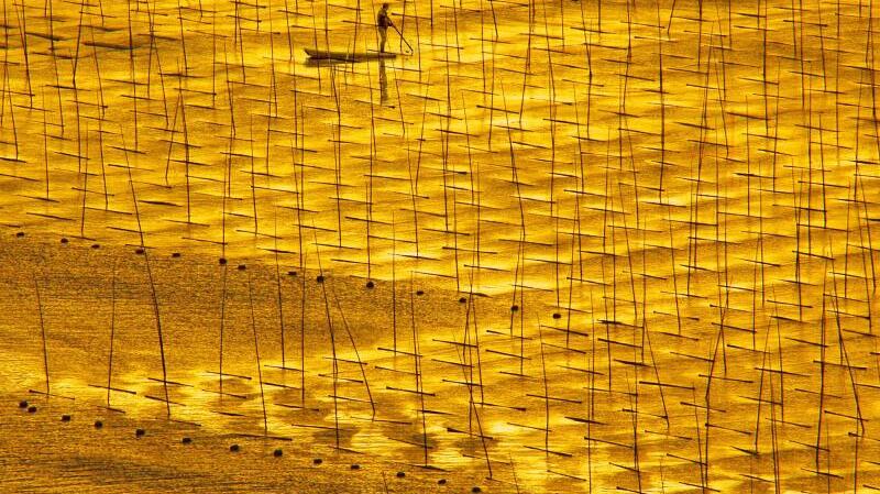 Goldener Moment