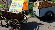 Kirschblütenwanderung in Ockstadt