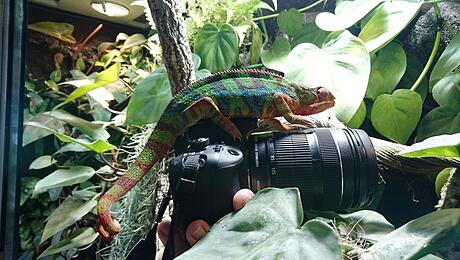 SM_D_TierparkPascalDSC_0239