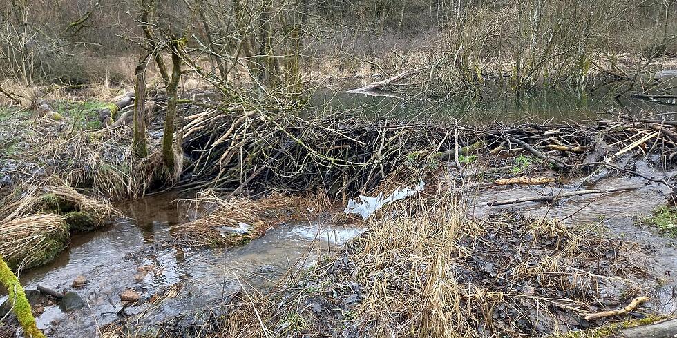 Jahresgespr&auml;ch mit der Landwirtschaft