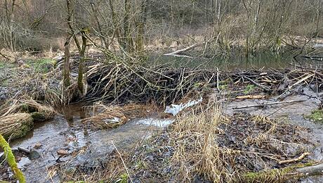 Jahresgespr&auml;ch mit der Landwirtschaft