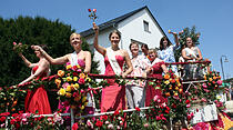Rosenkorso in Steinfurth