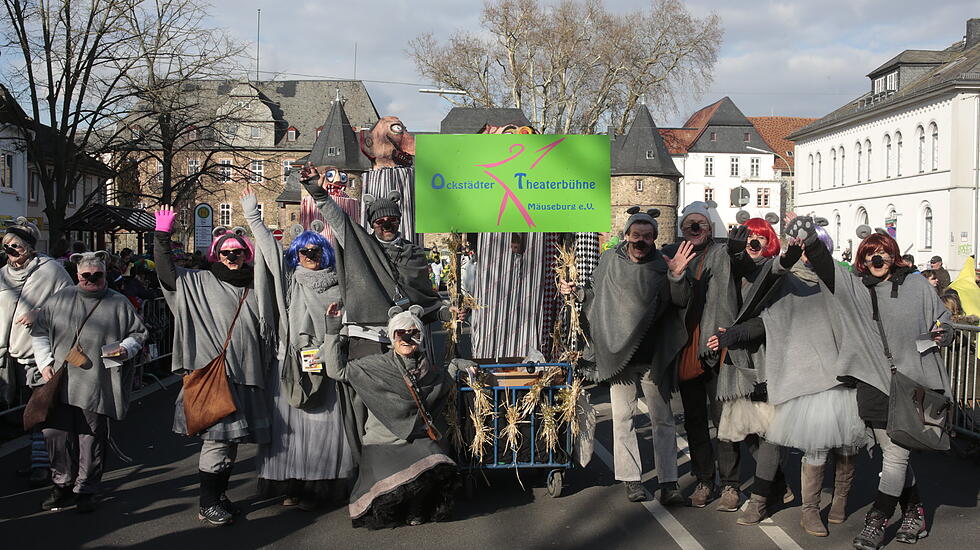 Faschingsumzug in Friedberg 2018