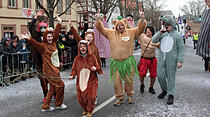Faschingsumzug in Friedberg