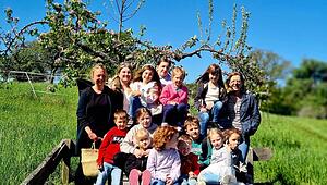 gikrei_kraut2_080525