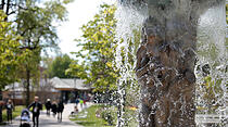 Frühjahrsimpressionen aus dem Bad Nauheim Kurpark und Südpark