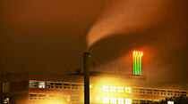Oliver Schepps Foto der Woche