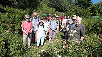 Rosenfest in Karben