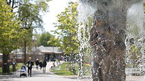 Frühjahrsimpressionen aus dem Bad Nauheim Kurpark und Südpark