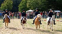 Tiershow auf der Seewiese Friedberg