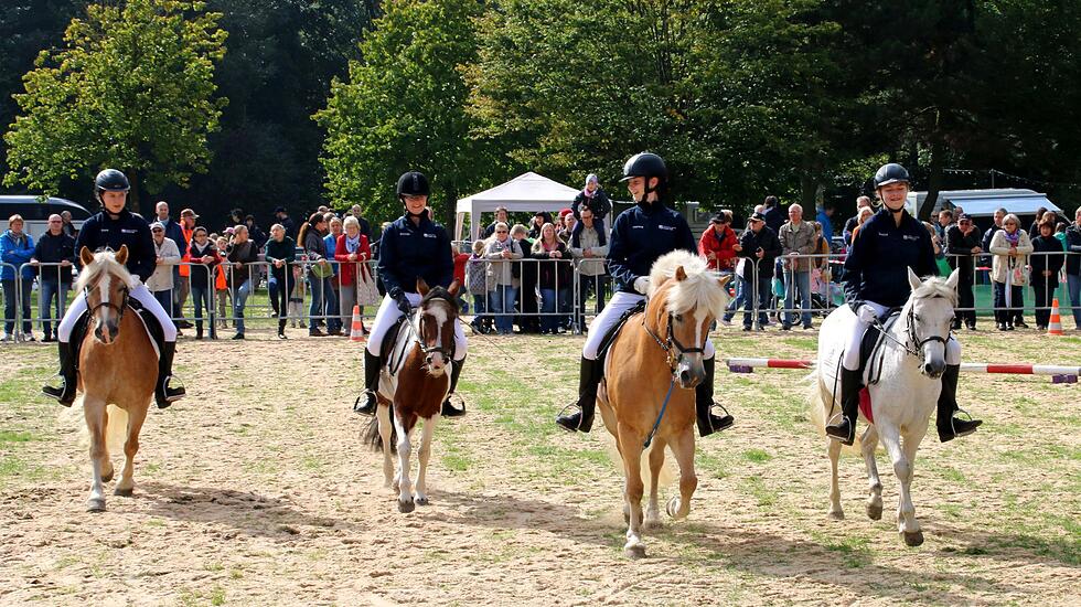 Tiershow auf der Seewiese Friedberg