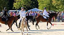 Tiershow auf der Seewiese