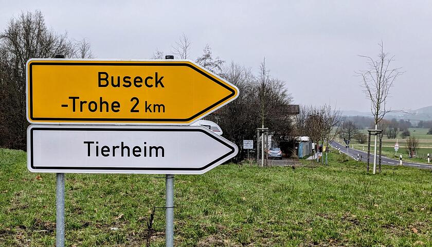 giloka_1712_Tierheim_171224