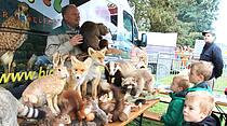 Tiershow auf der Seewiese Friedberg