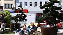 Frühlingsmarkt in Friedberg