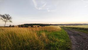 gikrei_sow_Dachsberg_210625