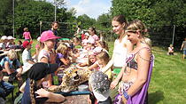"Jumanji" beim Kinderplaneten in Karben