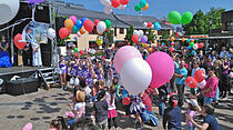 Blütenfest Rosbach