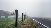 Leserfotos der Woche: Verklärter Herbst