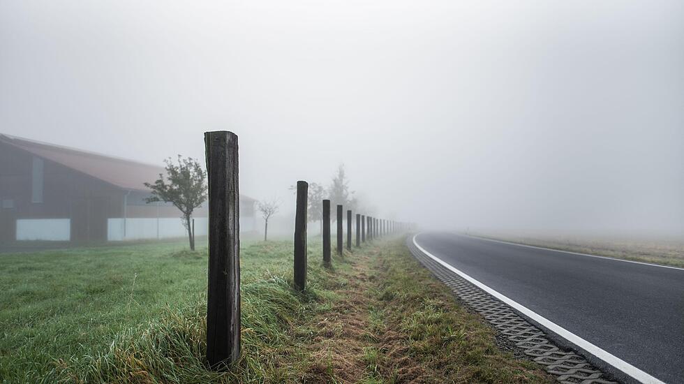Leserfotos der Woche: Verklärter Herbst