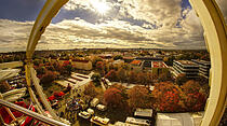Oliver Schepps Foto der Woche