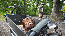 Oliver Schepps Foto der Woche