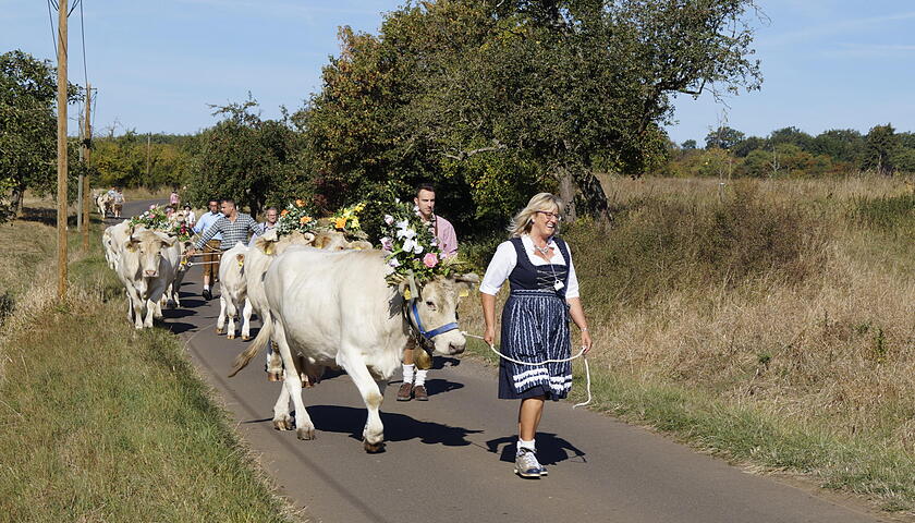 Almabtrieb_Nieder-Bessingen_3