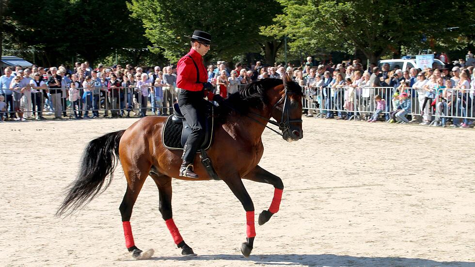 Tiershow auf der Seewiese