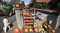 Oliver Schepps Foto der Woche