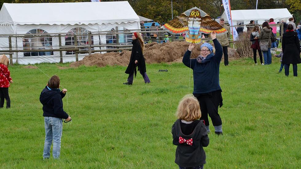 Drachenfest in Bad Nauheim