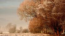 So war der Schnee-Advent in Hessen