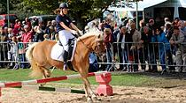 Tiershow auf der Seewiese Friedberg