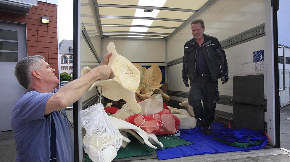 So lief der Wal-Transport