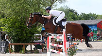 Dressur- und Springturnier auf der Reitsportanlage der Familie Loth in Friedberg – Fauerbach