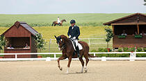 Dressur- und Springturnier auf der Reitsportanlage der Familie Loth in Friedberg – Fauerbach