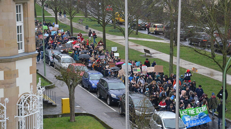 "Fridays for Future"-Demonstration in Friedberg