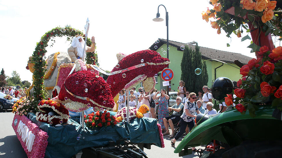 Rosenkorso in Steinfurth