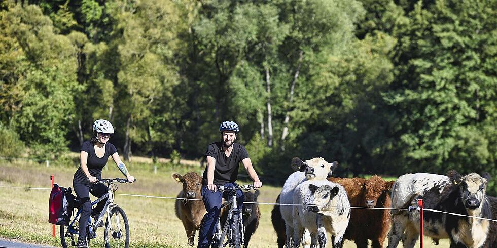 Vier weitere Radverkehrsprojekte
