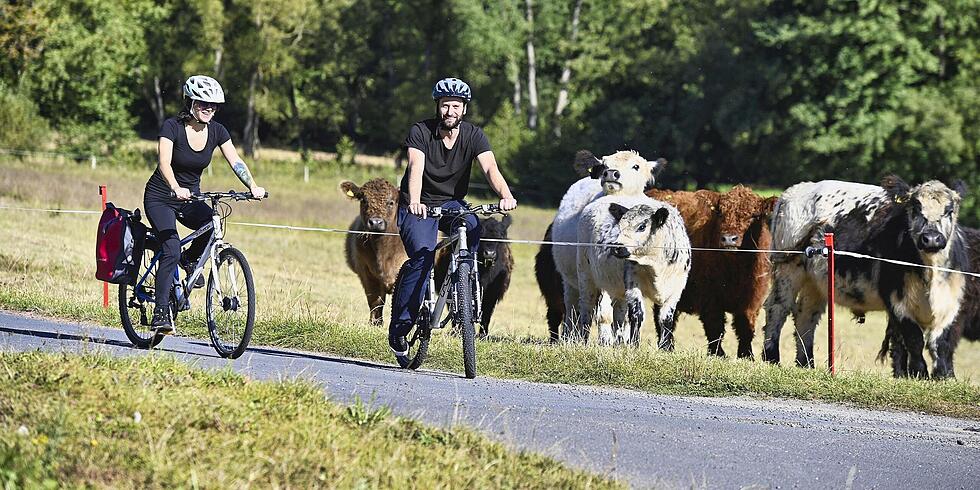 Vier weitere Radverkehrsprojekte