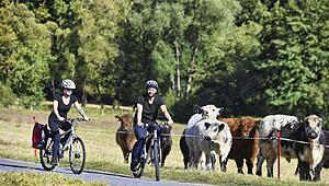 Vier weitere Radverkehrsprojekte