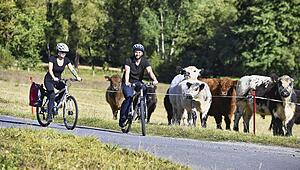 Vier weitere Radverkehrsprojekte