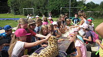 "Jumanji" beim Kinderplaneten in Karben